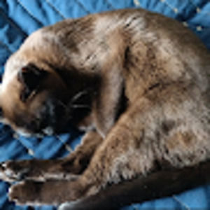 Meet your Posher, Everett